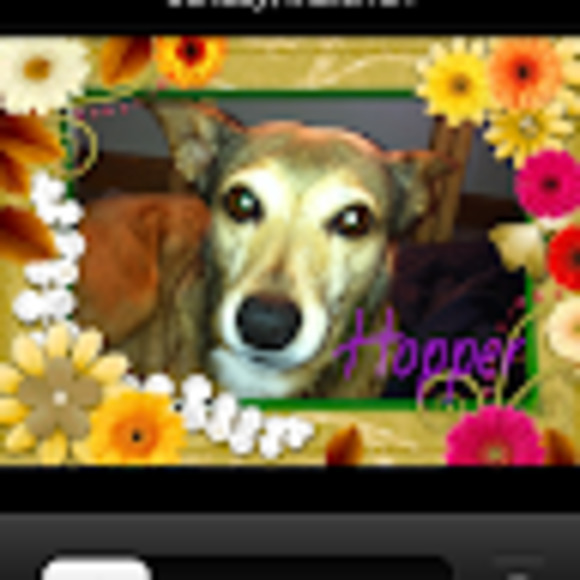 Meet your Posher, Dawn - Picture 1 of 1